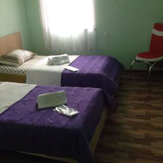 Отели типа «постель и завтрак» Gorgio Кутаиси Двухместный номер с 1 кроватью или 2 отдельными кроватями и ванной комнатой-3